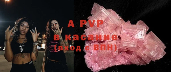 индика Покачи