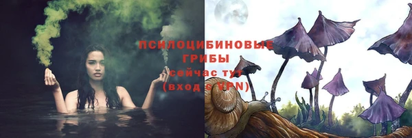 амф Богданович