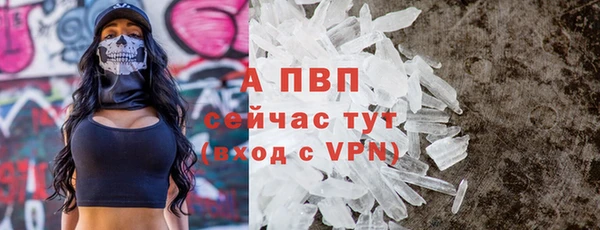 амф Богданович
