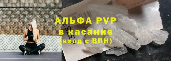 амф Богданович